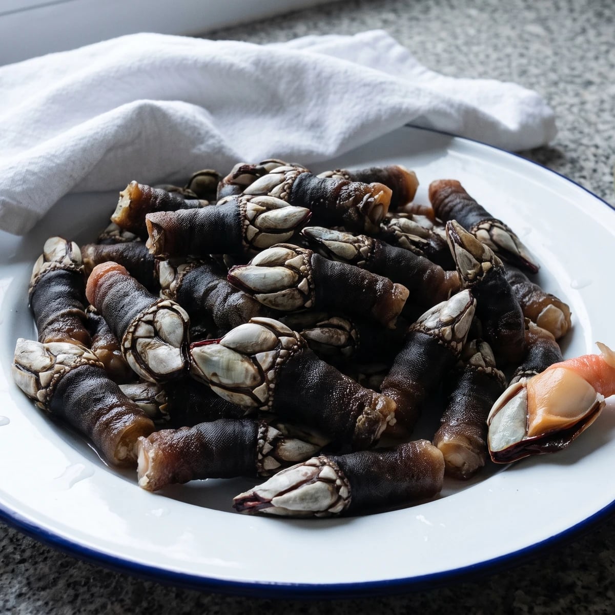Percebes Gallegos Cocidos