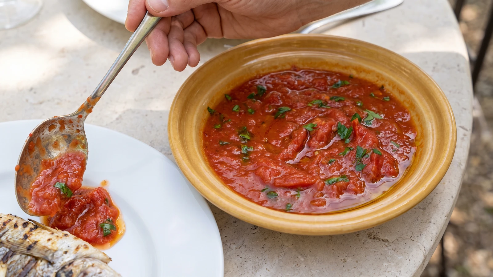Provençale Sauce