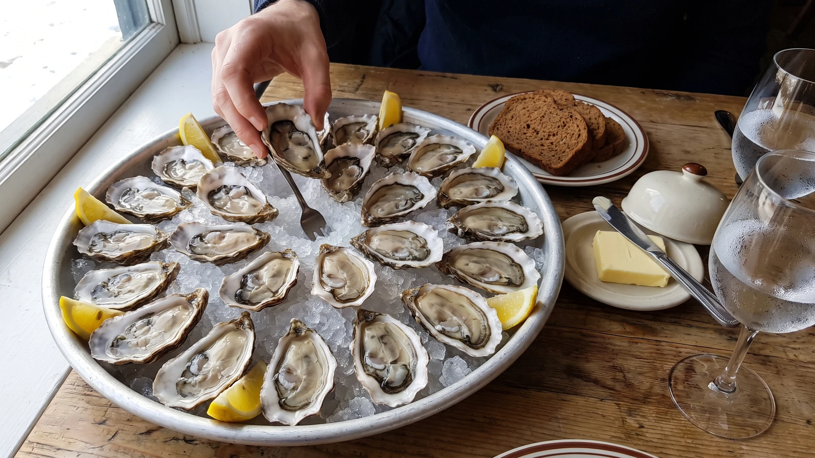 Oysters