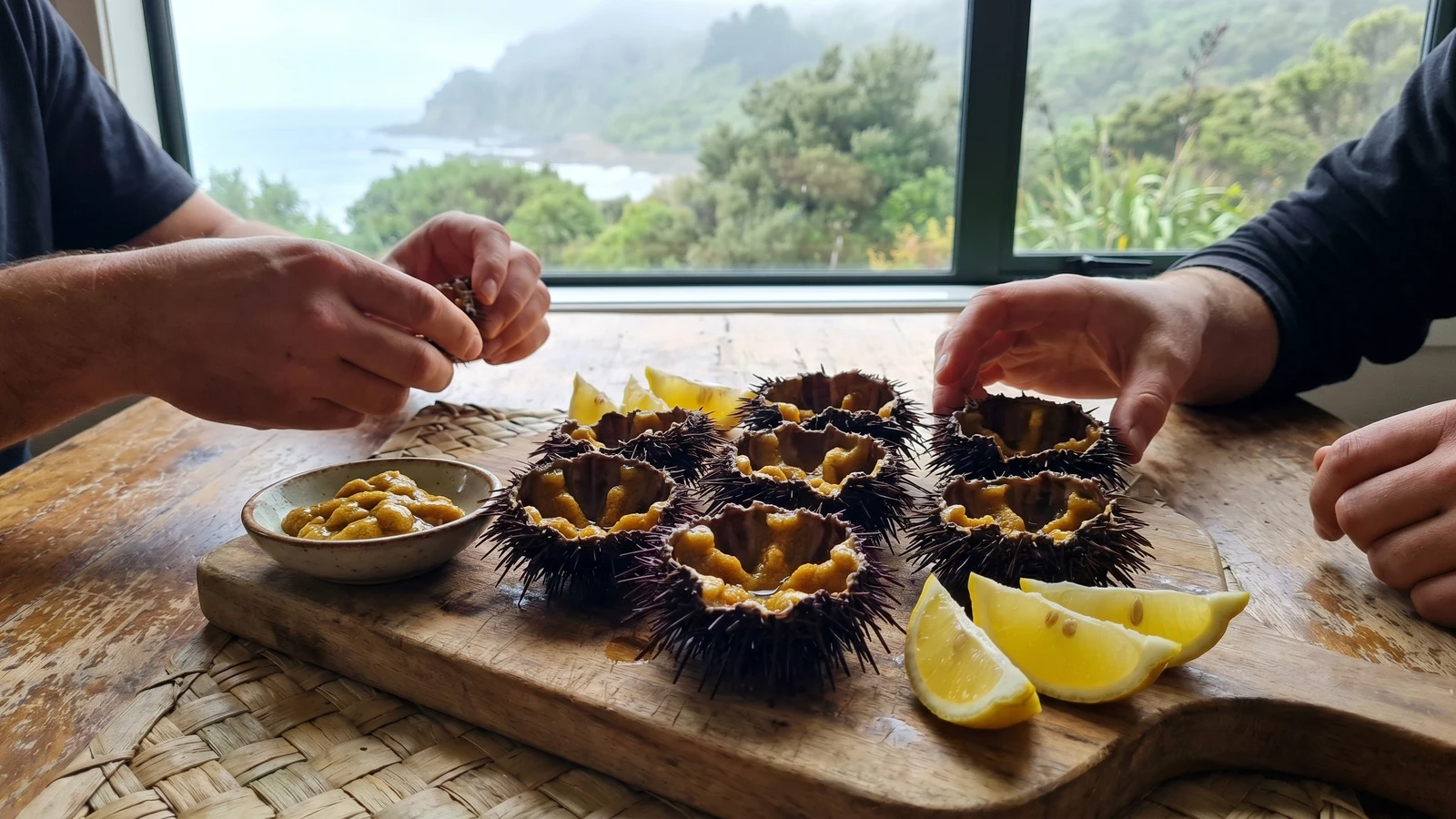 Kina (Māori Raw Sea Urchin from Aotearoa)