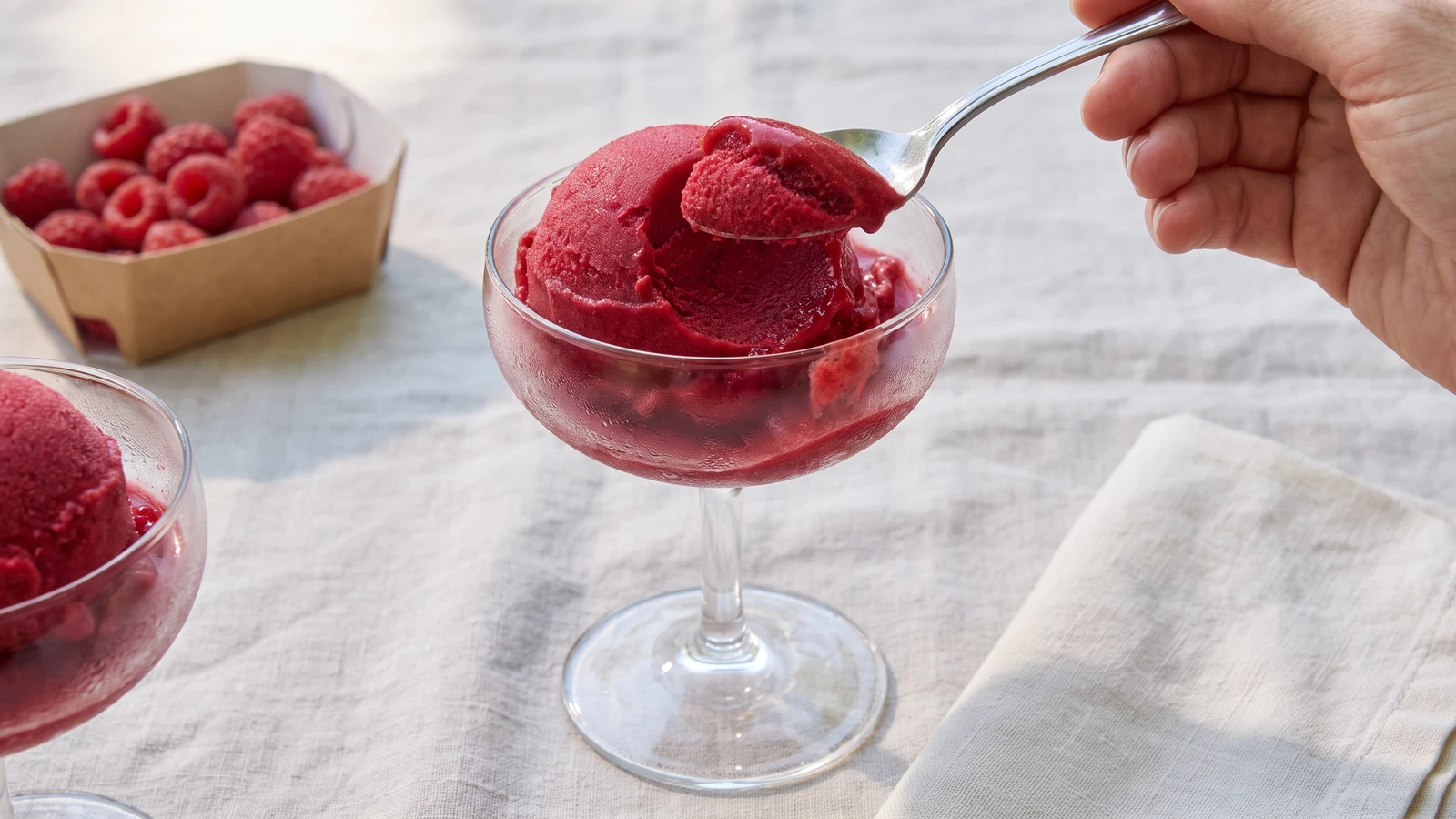 The Making of Fruit Ice Preparations