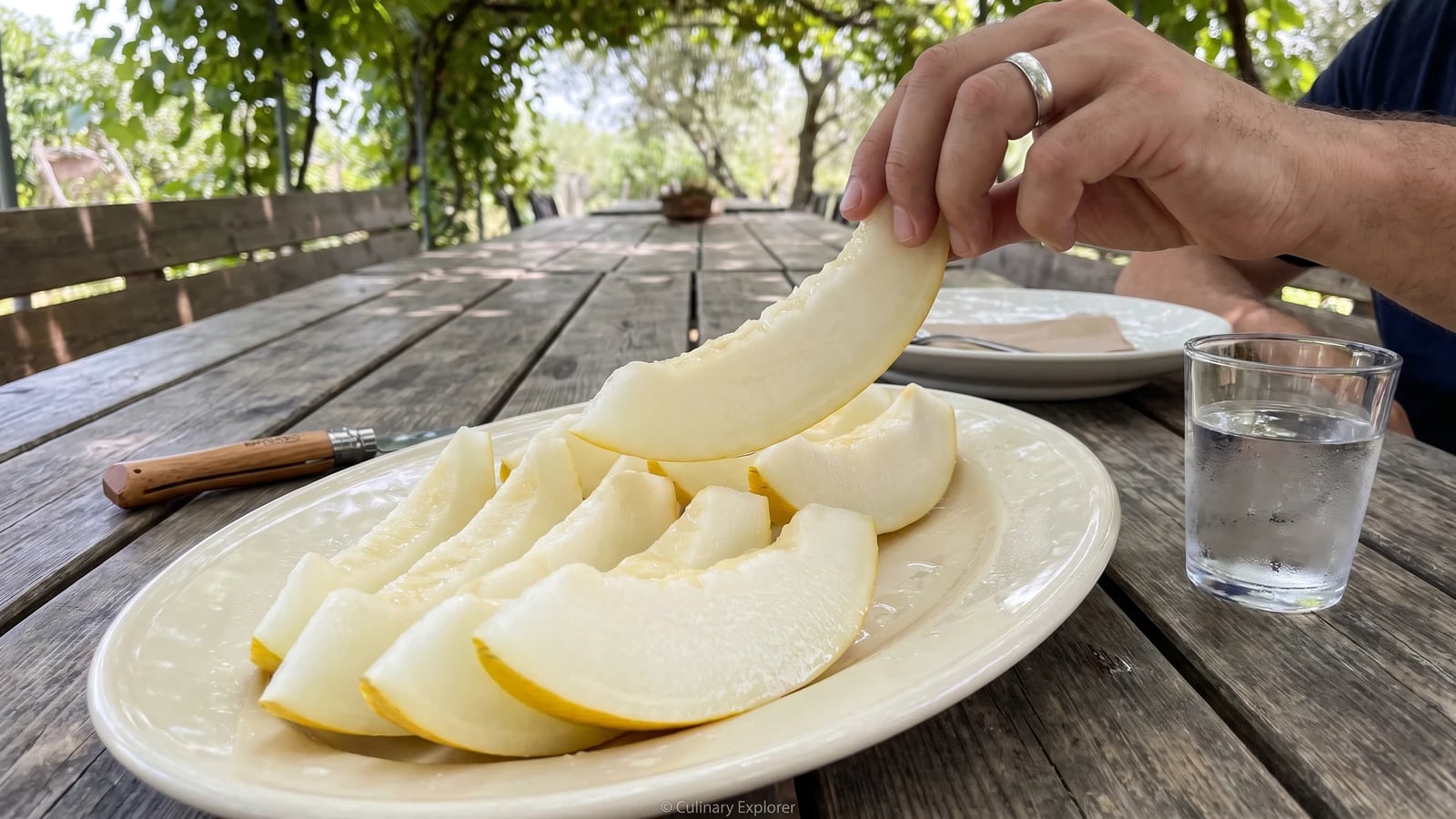 English Melons