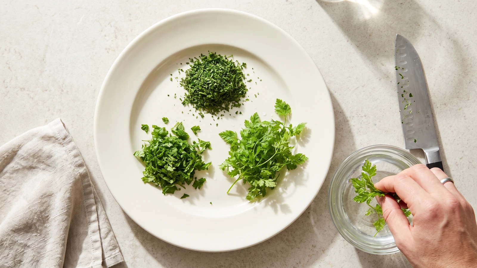 Chervil
